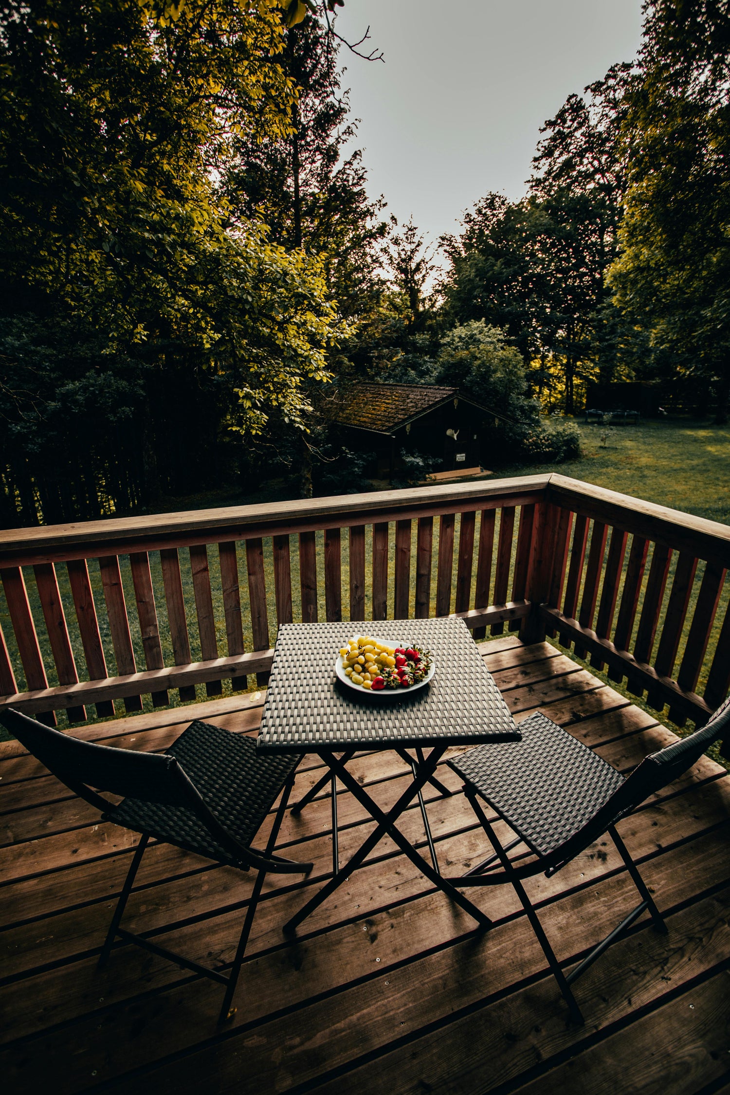 Lawn & Patio