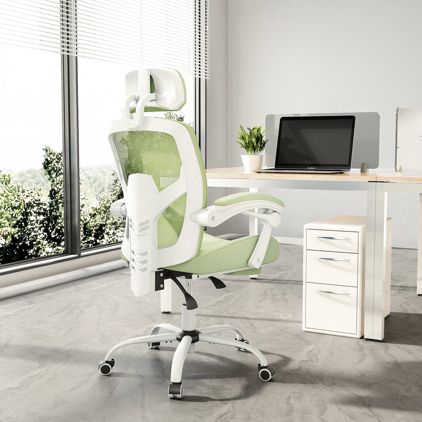 Reclining Office Chair with Lumbar Support